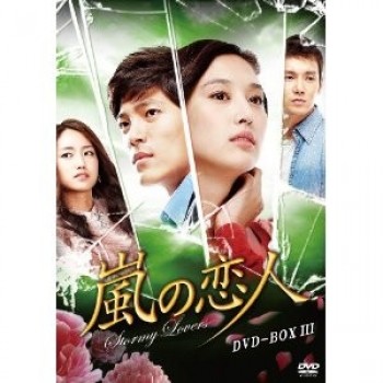 韓国ドラマ 嵐の恋人 DVD-BOX 1+2+3 23枚組