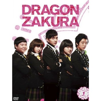 韓国ドラマ ドラゴン桜 DVD-BOX1+2 8枚組