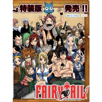 FAIRY TAIL（フェアリーテイル） DVD