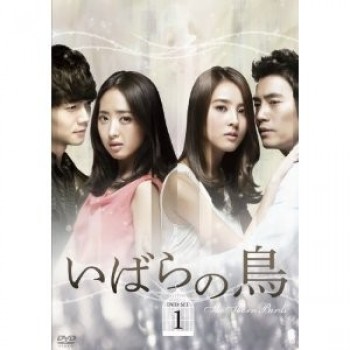 韓国ドラマ いばらの鳥 DVD-BOX 1+2 10枚組