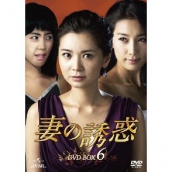 韓国ドラマ 妻の誘惑 DVD-BOX 1ー6 32枚組
