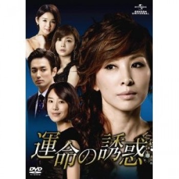 韓国ドラマ 運命の誘惑 DVD-BOX 1ー5 25枚組