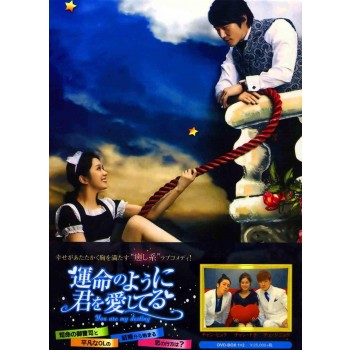 運命のように君を愛してる DVD-BOX 1+2　12枚組　日本語字幕