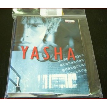 YASHA-夜叉 DVD